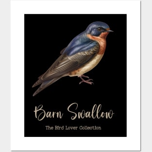 Barn Swallow - The Bird Lover Collection Posters and Art